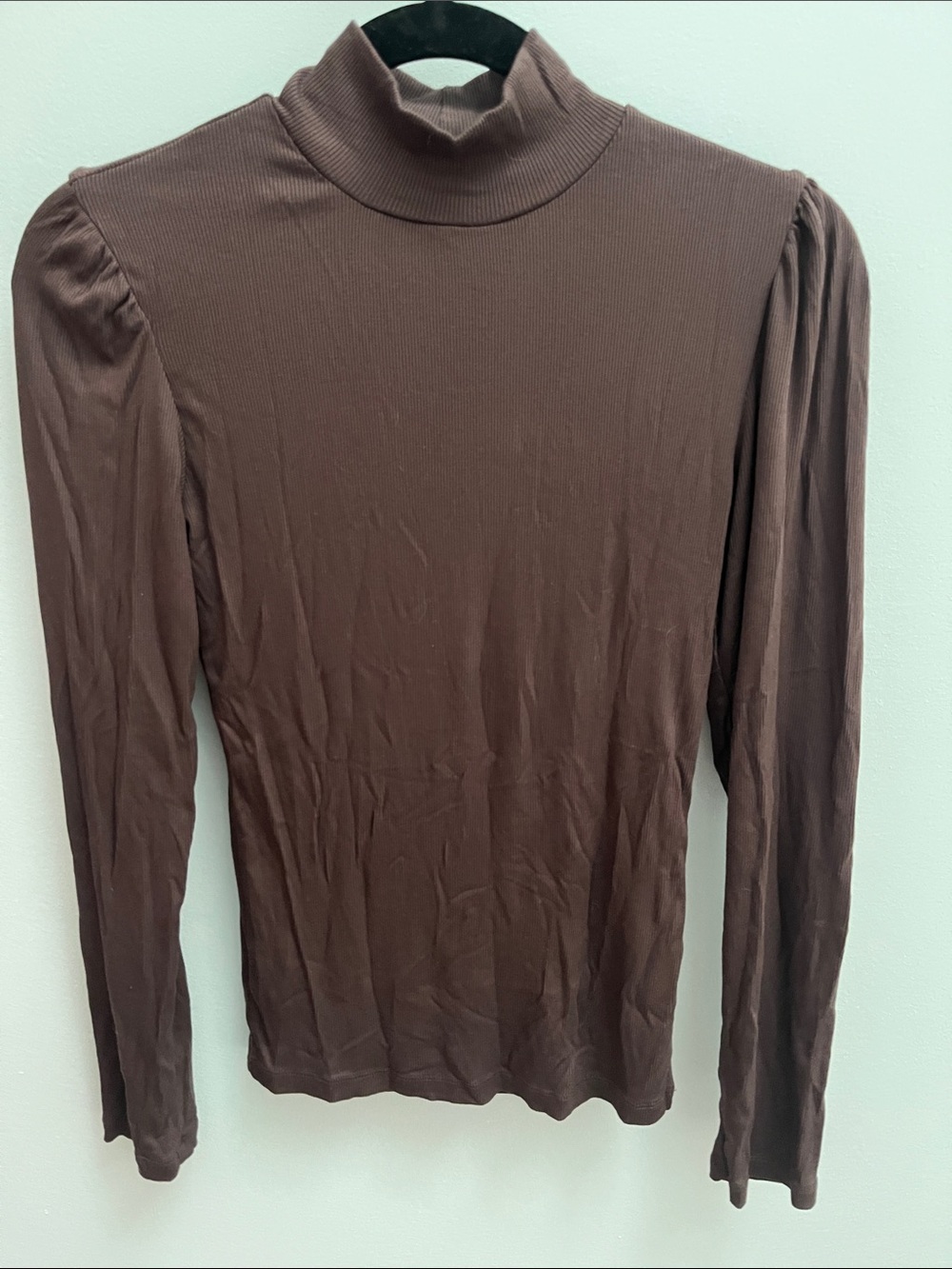 41 Hawthorn Brown Mock Neck Long Sleeve Top
